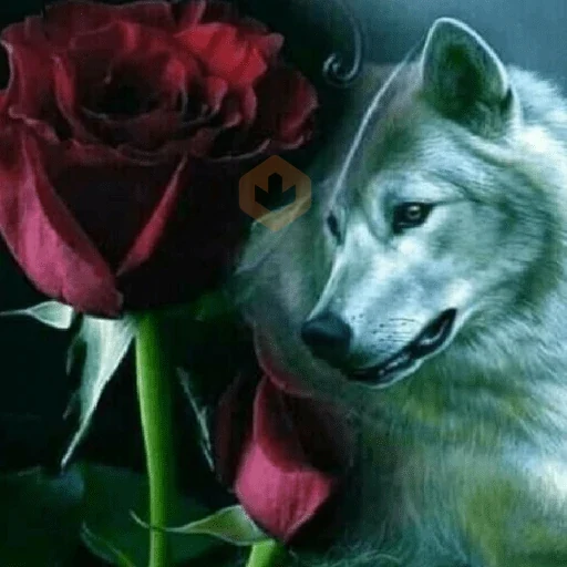 lobos | memes sticker 13
