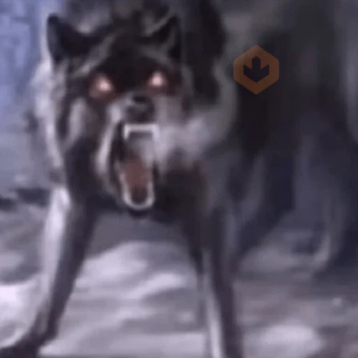 lobos | memes sticker 15