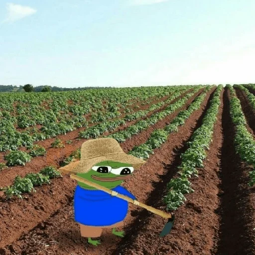 Rana MEME Tiktok 🐸 sticker 16