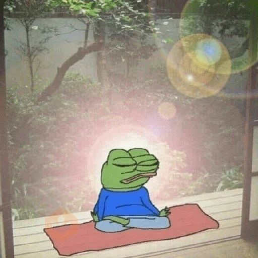Rana MEME Tiktok 🐸 sticker 12
