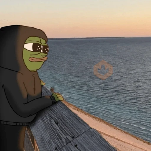 Rana MEME Tiktok 🐸 sticker 11
