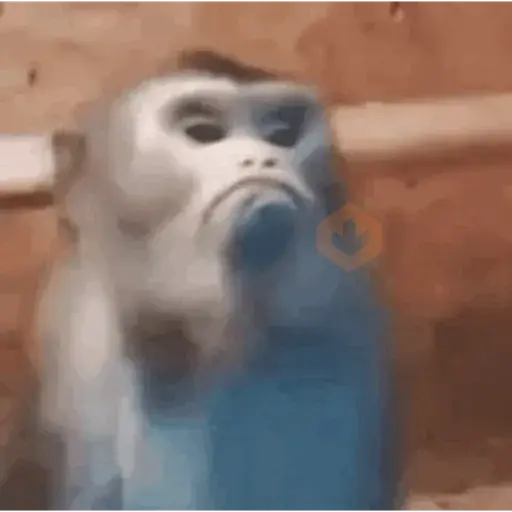 Tiktok sticker 11
