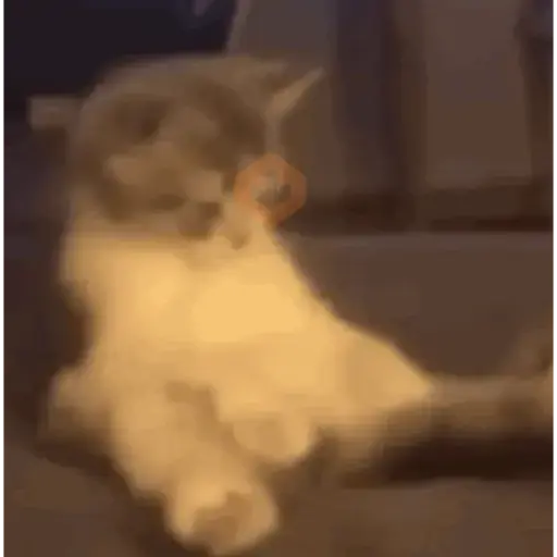 Tiktok sticker 13