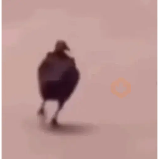 Tiktok sticker 17
