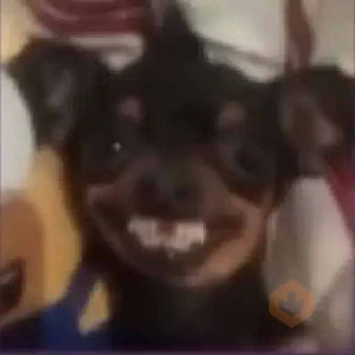 Stickers Tiktok sticker 21