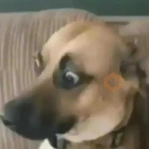Stickers Tiktok sticker 17