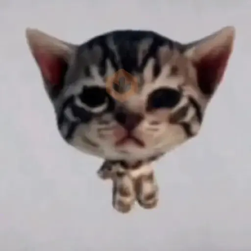 Ardilla 🐿️ Virales de Tiktok sticker 13