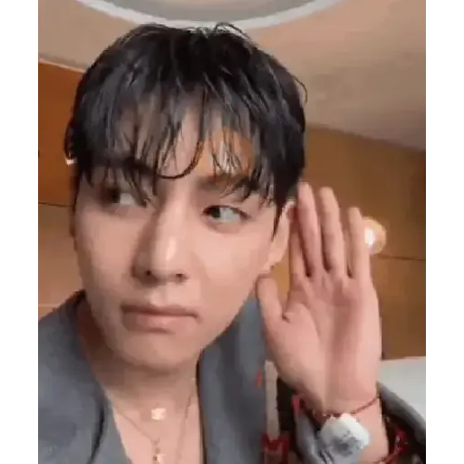 BTS [Tiktok] sticker 13