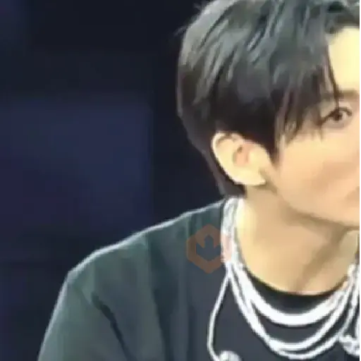 BTS [Tiktok] sticker 25
