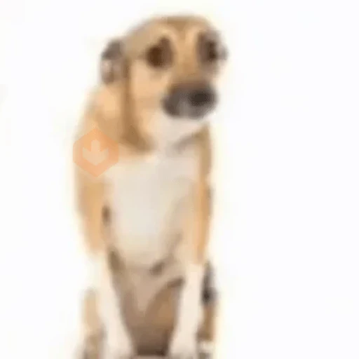 TIKTOK sticker 3