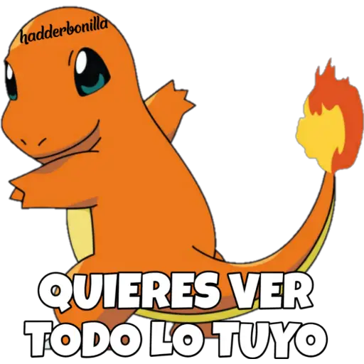 POKEMON HOT 