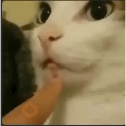 Tiktok comentarios sticker 12