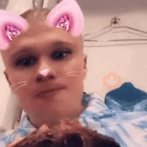 Stickers tiktok sticker 17