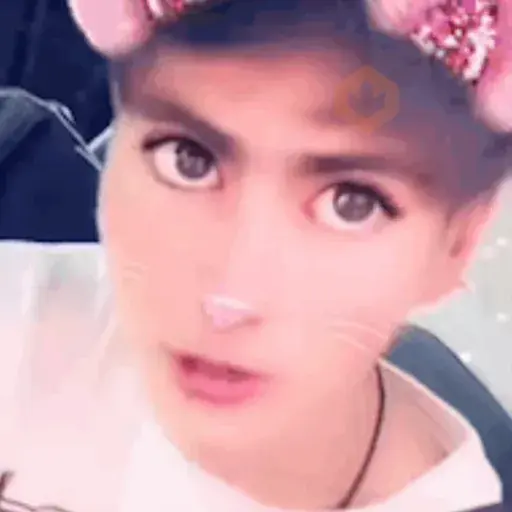 Stickers tiktok sticker 15