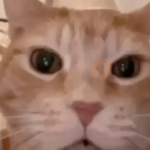 Favoritos Tiktok 5 🥵🥵🥵 sticker 11