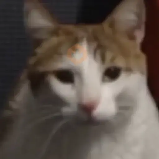 Favoritos Tiktok 5 🥵🥵🥵 sticker 13