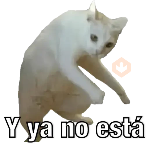 Yo avia ponido sticker 17