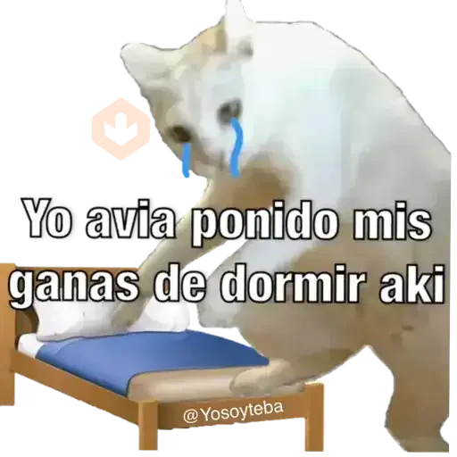 Yo avia ponido sticker 14