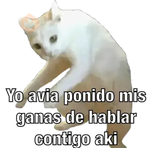 Yo avia ponido sticker 18