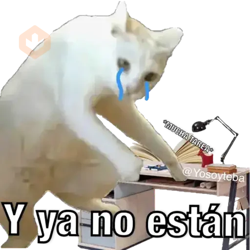 Yo avia ponido sticker 12