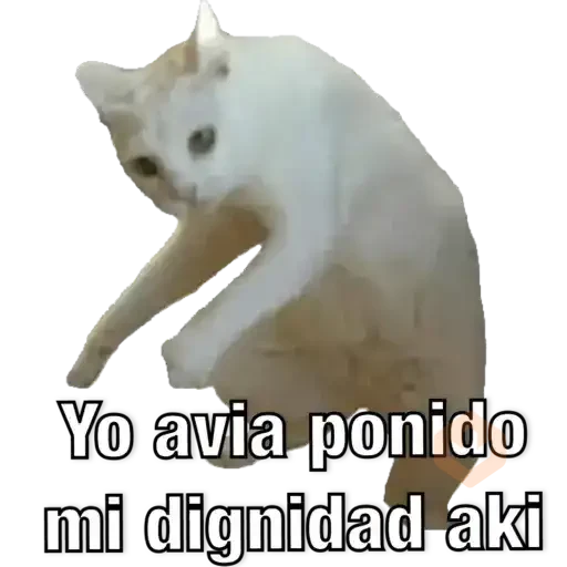 Yo avia ponido sticker 11