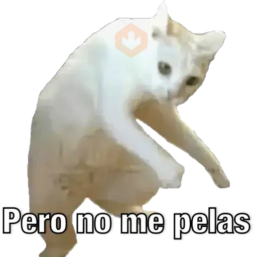 Yo avia ponido sticker 25