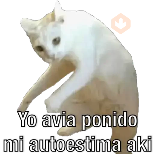 Yo avia ponido sticker 16