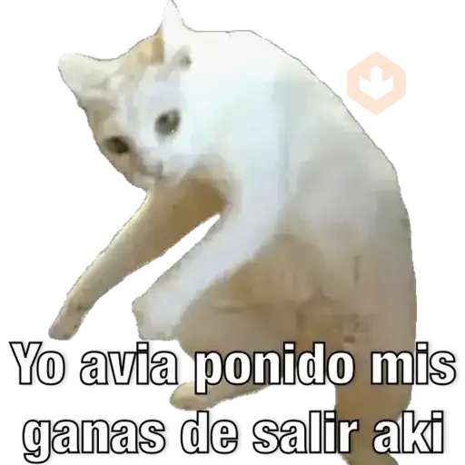 Yo avia ponido sticker 24