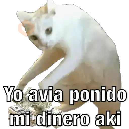 Yo avia ponido sticker 23