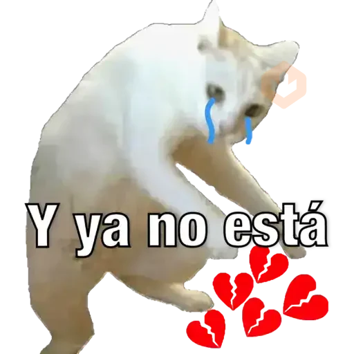 Yo avia ponido sticker 27