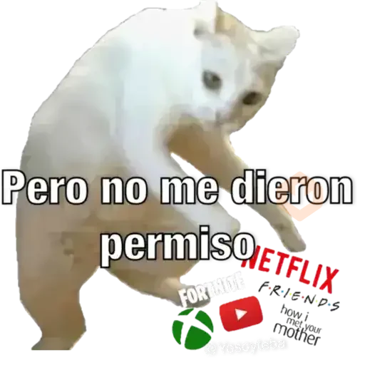 Yo avia ponido sticker 19