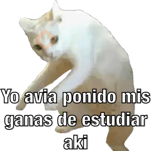 Yo avia ponido sticker 13