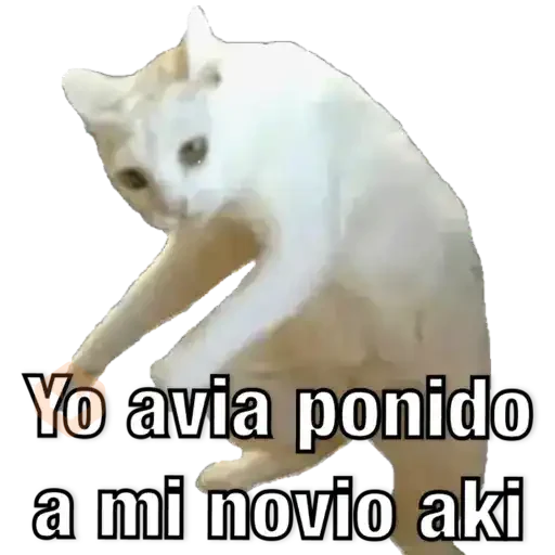 Yo avia ponido sticker 21