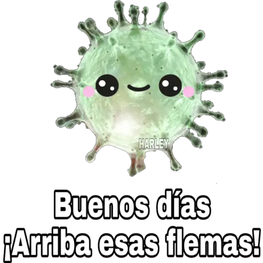 🦠Yo Soy Coronavirus 🦠 