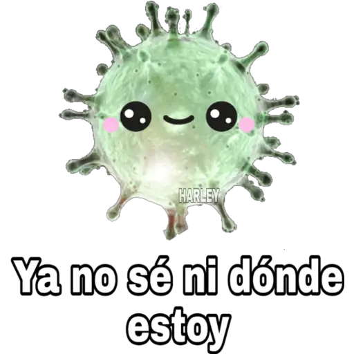 🦠Yo Soy Coronavirus 🦠  preview