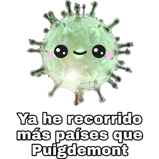 🦠Yo Soy Coronavirus 🦠 