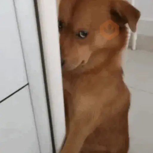 Tiktok pt. 3 sticker 15