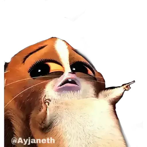 Madagascar 