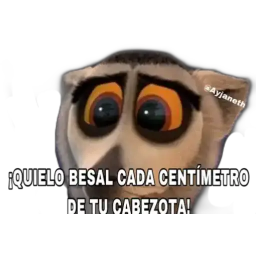 Madagascar 