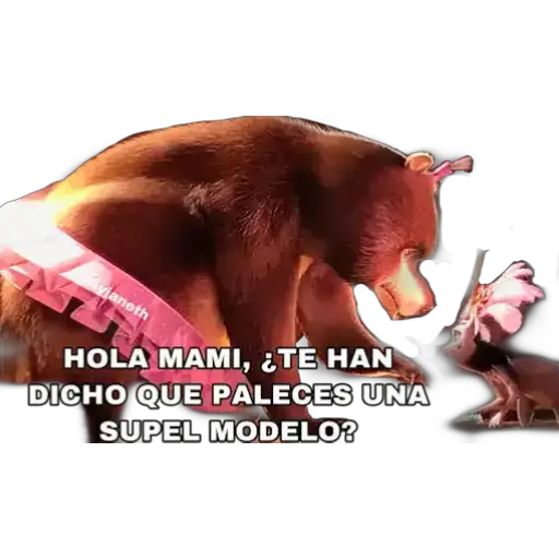 Madagascar  preview