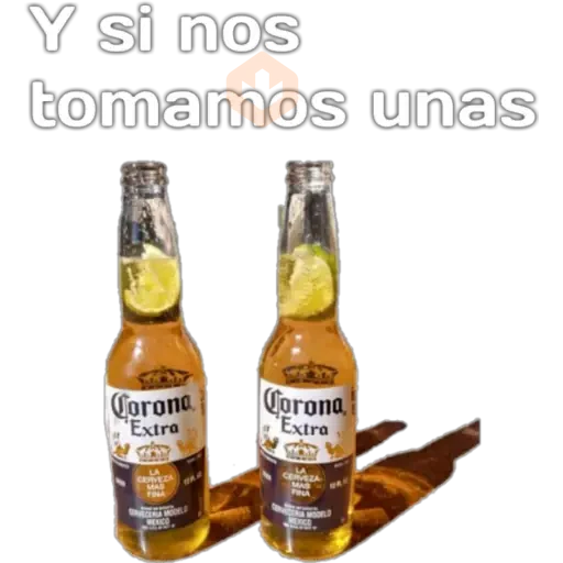🍻CHELAS Y BOTANAS🌶️ sticker 20