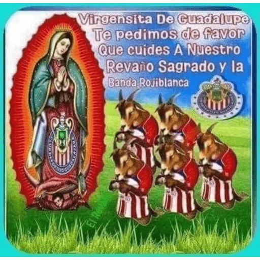 el rap d las chivas 🔥 sticker 17