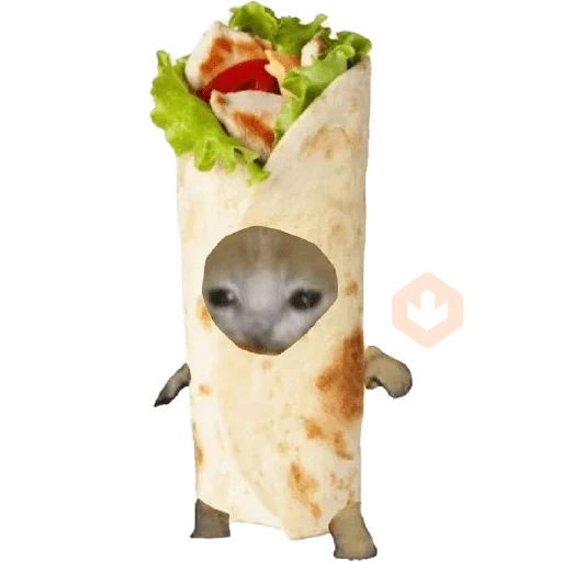 🍔🌯 Perros & Gatos Comida 🥕🥓 sticker 17