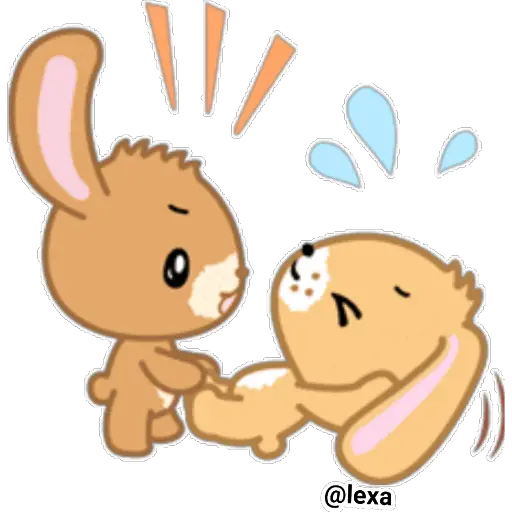 ✨🐰Sweet bunny✨🐰 