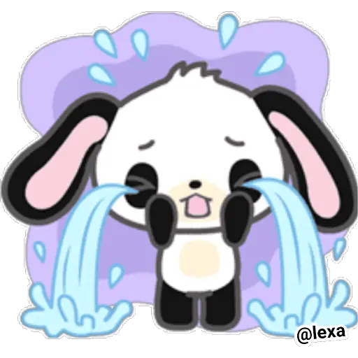 ✨🐰Sweet bunny✨🐰 