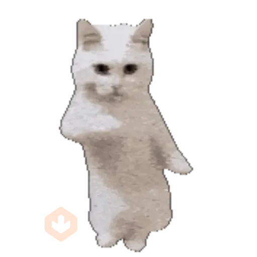 Cats Gatos Gatitos sticker 12