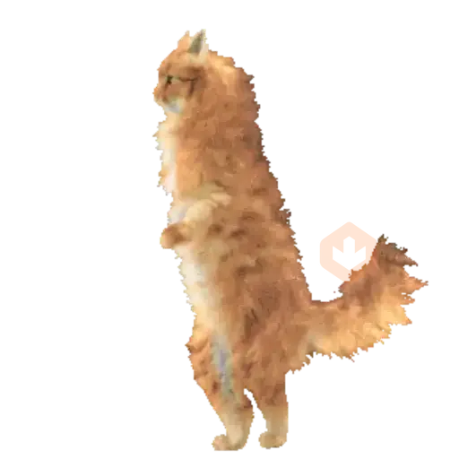 Cats Gatos Gatitos sticker 17