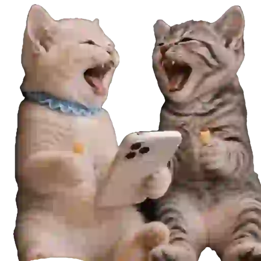 Cats Gatos Gatitos sticker 16