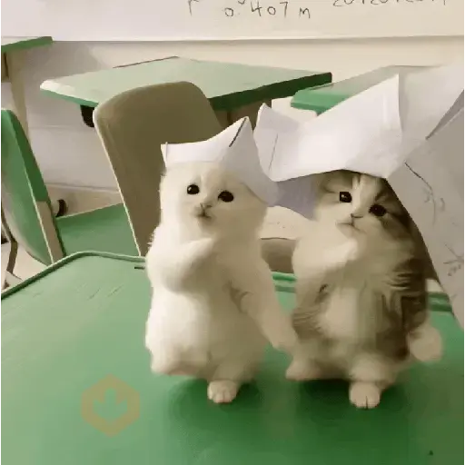 Gatinhos Tiktok sticker 12
