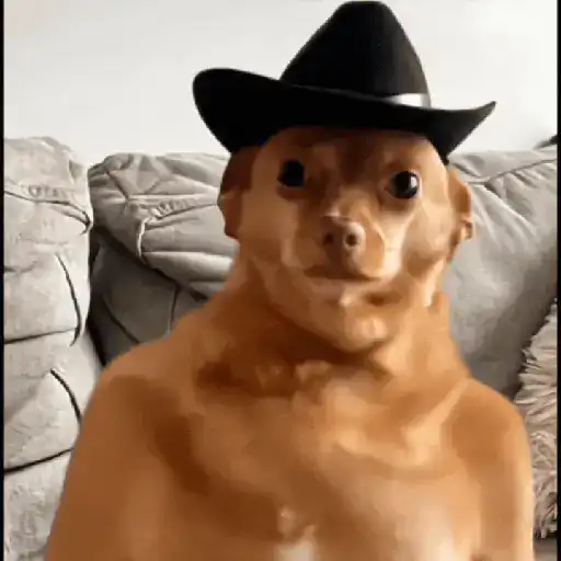 Doguinhos Tiktok sticker 18